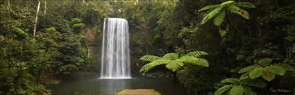 Milla Milla Falls - QLD (PBH4 00 16946)